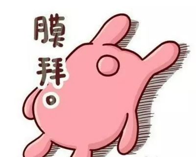 网络大佬什么意思