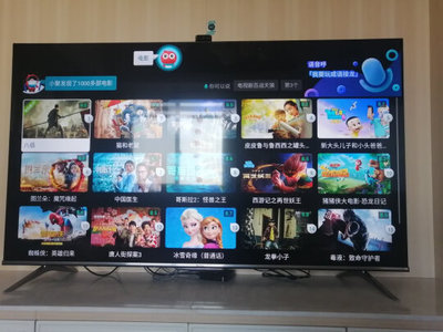 大屏电视什么牌子好