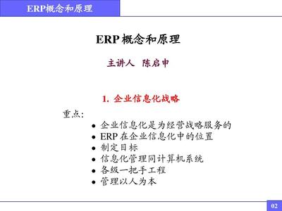 ERP系统原理和实施