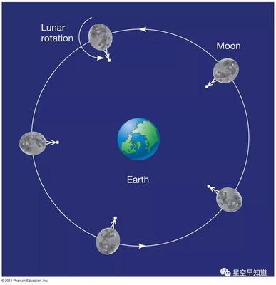 月球自转形成了什么