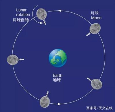 月球自转形成了什么