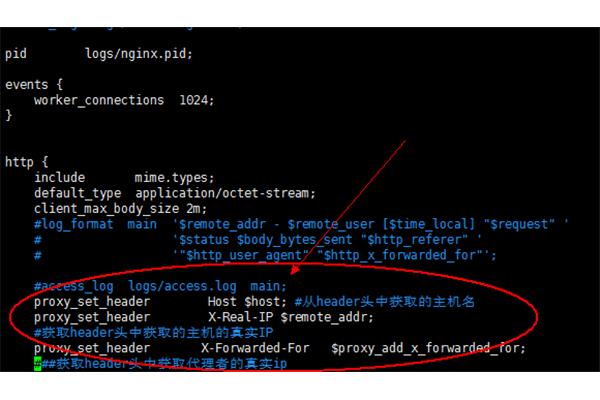 js 获取host